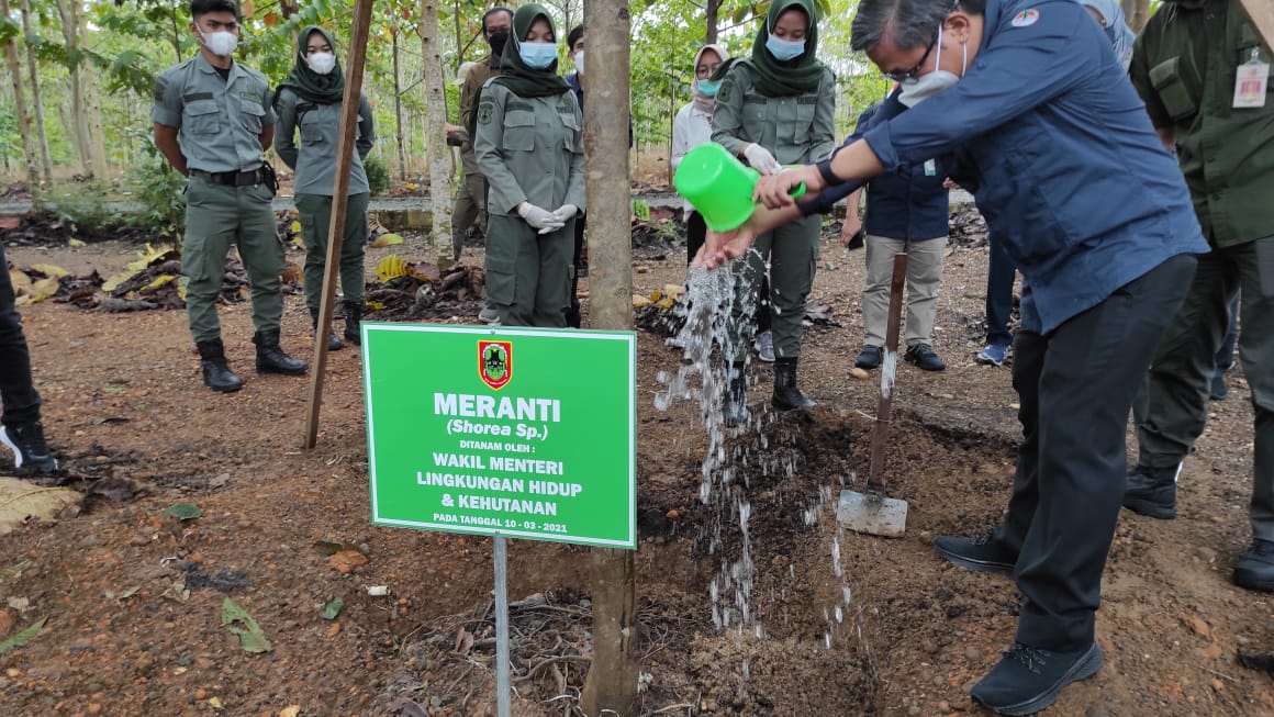 Wakil Menteri Lingkungan Hidup dan Kehutanan RI, Alue Dohong menanam pohon di Area Taman Hutan Hujan Tropis, Kawasan Perkantoran Gubernur, Banjarbaru.