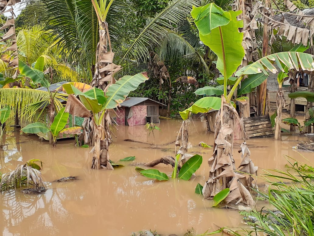 Banjir di Kab Tanah Bumbu