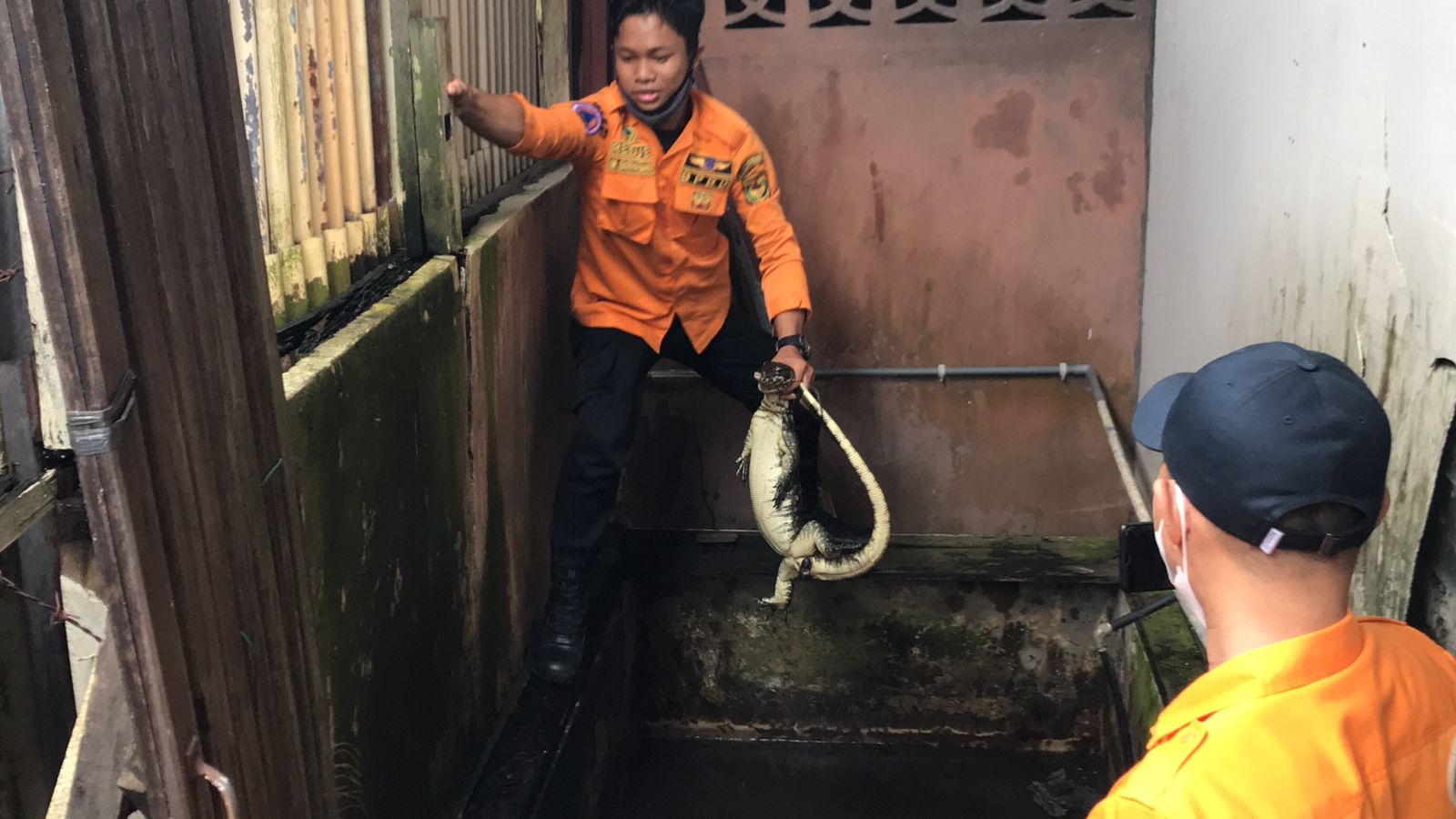 Tim Animal Rescue BPBD Banjarmasin amankan biawak yang masuk ke toko warga