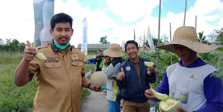 Ketua DPRD Kota Banjarbaru Fadliansyah Akbar kunjungi wisata Petik Melon, Kelompok Tani Ngundi Rahayu