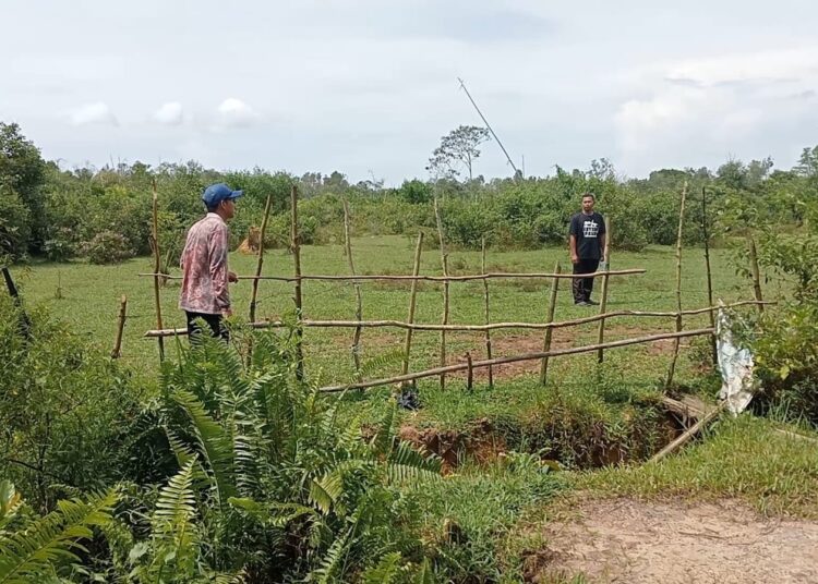 DPRD Tanah Laut Fasilitasi Penyelesaian Sengketa Lahan Warga Sabuhur dan PT KTI DPRD Tanah Laut Fasilitasi Penyelesaian Sengketa Lahan Warga Sabuhur dan PT KTI